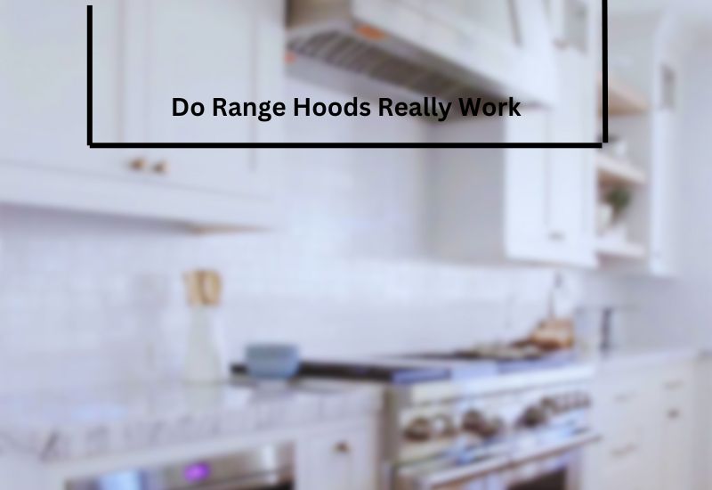 Do Range Hoods Really Work